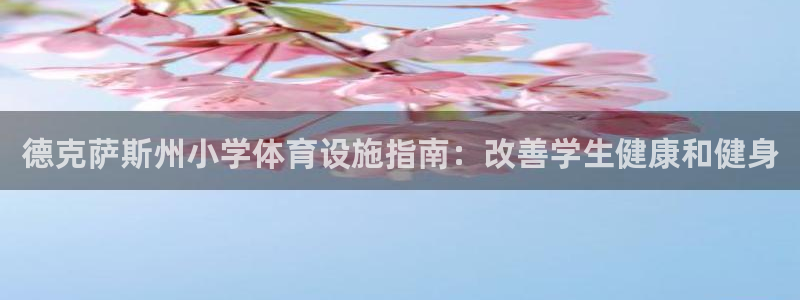 意昂体育3招商电话：德克萨斯州小学体育设施指南：改善