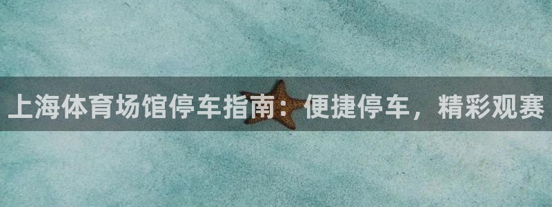 意昂3新能源：上海体育场馆停车指南：便捷停车，精彩观