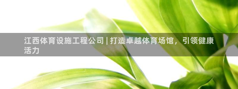 意昂体育3开户：江西体育设施工程公司 | 打造卓越体