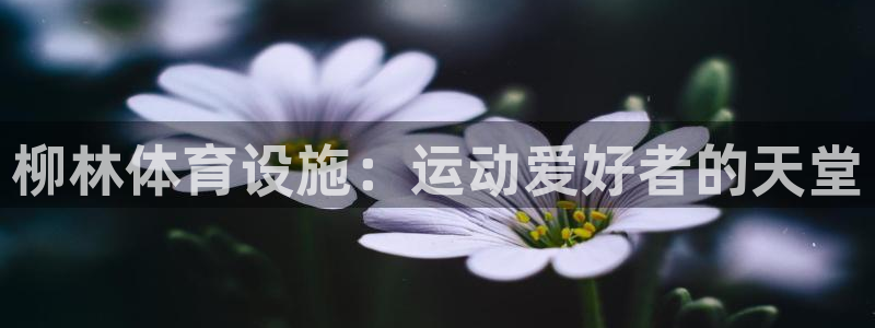 意昂体育3平台注册流程图：柳林体育设施：运动爱好者的