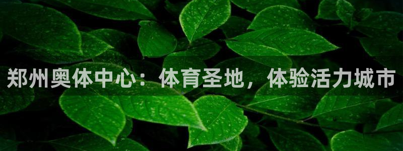 意昂3集团简介：郑州奥体中心：体育圣地，体验活力城市
