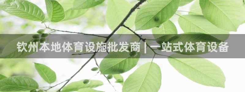 意昂3五金厂：钦州本地体育设施批发商 | 一站式体育