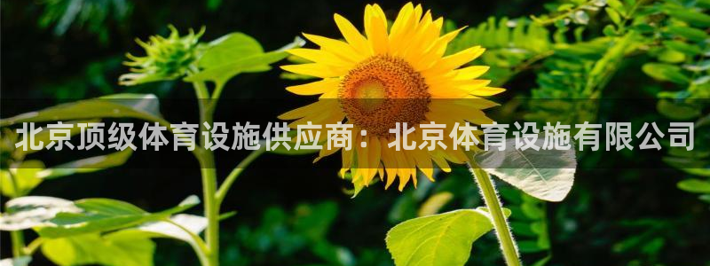 意昂体育3平台注册：北京顶级体育设施供应商：北京体育