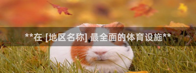 意昂体育3开户：**在 [地区名称] 最全面的体育设