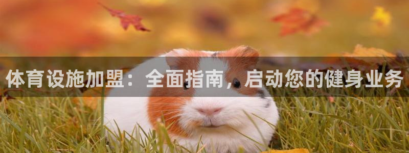 意昂体育3招商电话地址查询：体育设施加盟：全面指南，