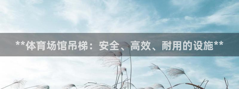 意昂3神州：**体育场馆吊梯：安全、高效、耐用的设施