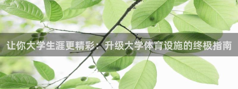 意昂3代理：让你大学生涯更精彩：升级大学体育设施的终