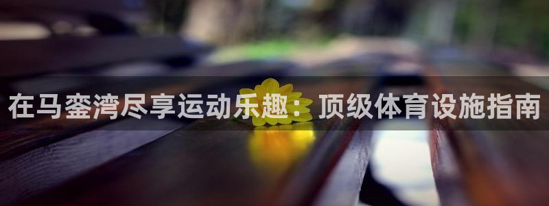 意昂体育3平台注册：在马銮湾尽享运动乐趣：顶级体育设