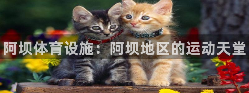 海南意昂体育3发展怎么样：阿坝体育设施：阿坝地区的运