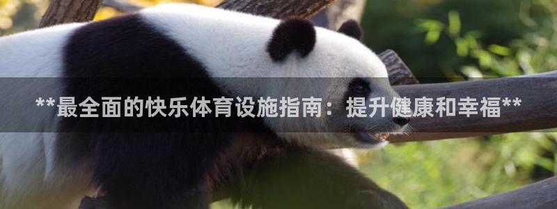 海南意昂体育3：**最全面的快乐体育设施指南：提升健