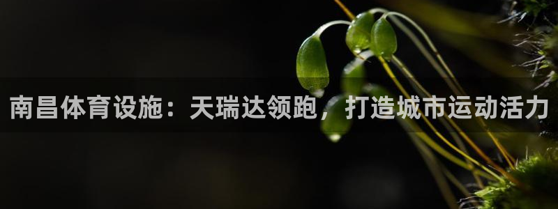 意昂体育3招商电话号码查询是多少：南昌体育设施：天瑞