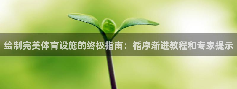 海南意昂体育3：绘制完美体育设施的终极指南：循序渐进