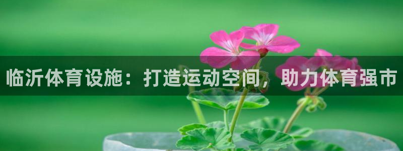 意昂体育3招商电话号码查询：临沂体育设施：打造运动空