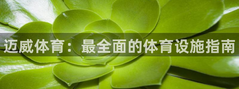 意昂3新能源