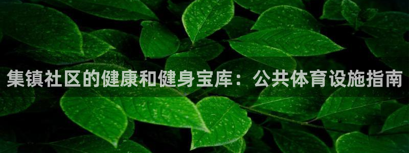 意昂体育3平台假的吗是真的吗吗：集镇社区的健康和健身