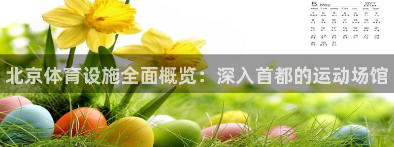 意昂体育3招商电话地址：北京体育设施全面概览：深入首