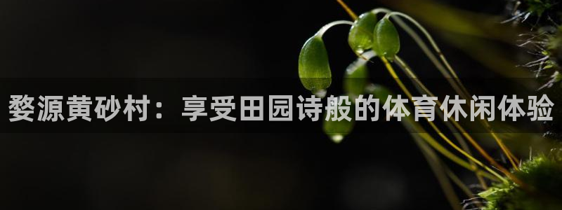 意昂体育3招商电话地址：婺源黄砂村：享受田园诗般的体