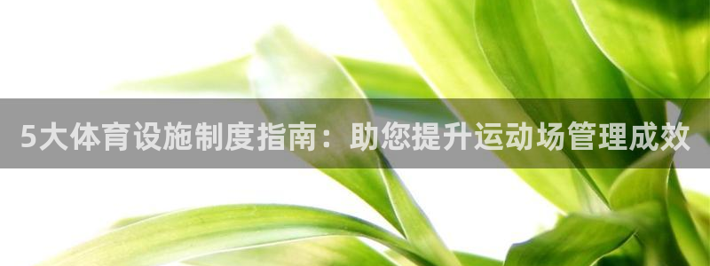 德国意昂3集团：5大体育设施制度指南：助您提升运动场