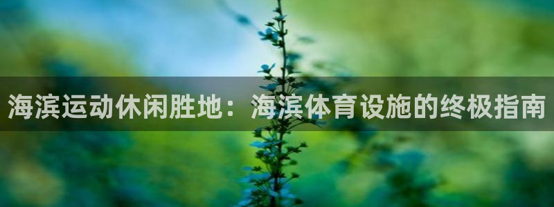 意昂体育3招商电话号码查询：海滨运动休闲胜地：海滨体