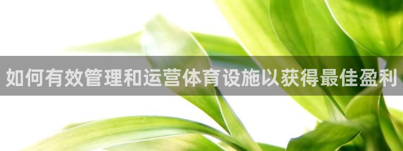 意昂体育3招商电话是多少号码：如何有效管理和运营体育