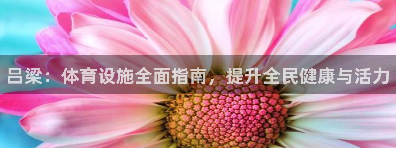 意昂体育3招商电话号码查询：吕梁：体育设施全面指南，