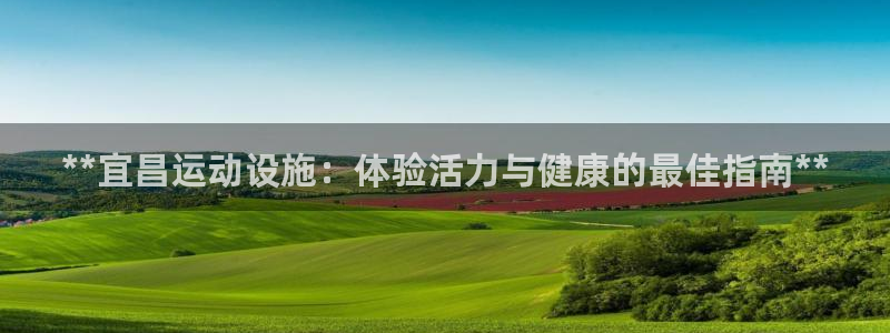 意昂3集团logo：**宜昌运动设施：体验活力与健康