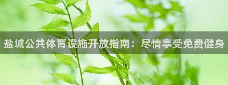 意昂体育3平台注册要钱吗是真的吗：盐城公共体育设施开
