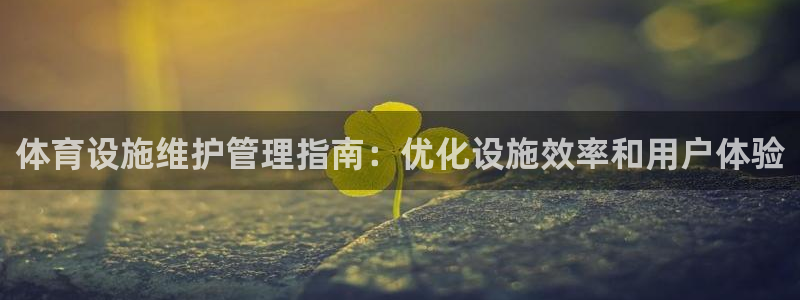 意昂3开户：体育设施维护管理指南：优化设施效率和用户