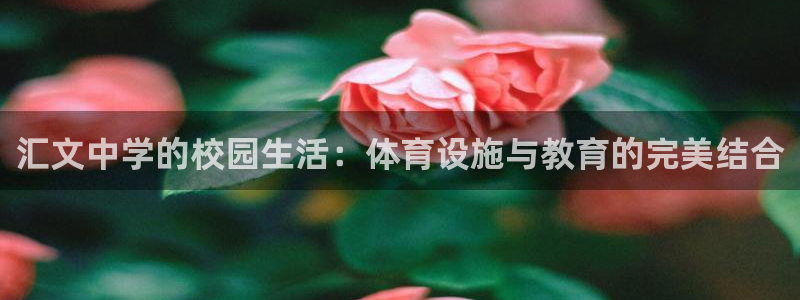 意昂体育3平台假的吗是真的吗