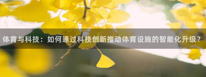 意昂3新能源