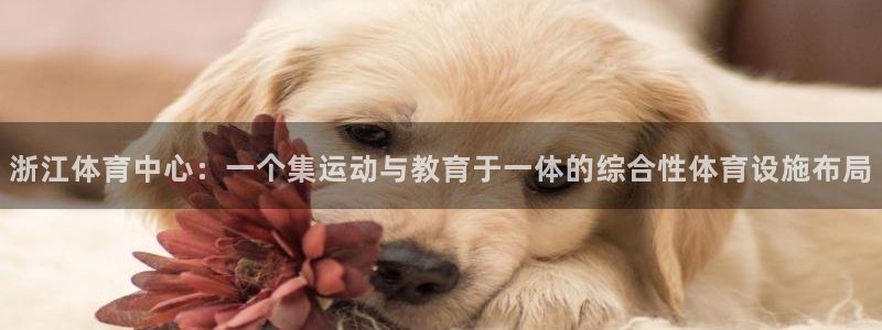 意昂3集团官网网址