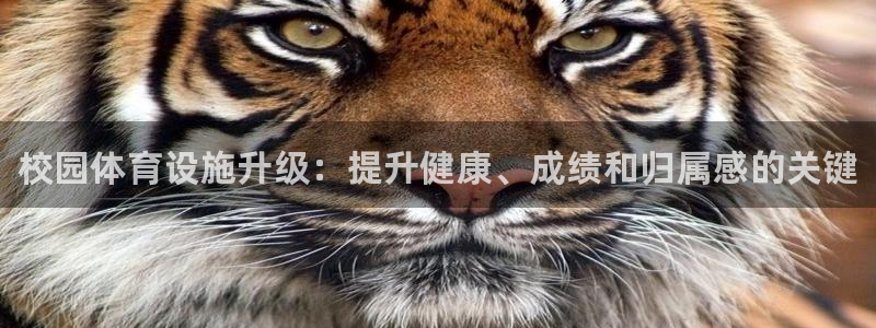 意昂体育3平台注册要钱吗是真的吗：校园体育设施升级：提升健康