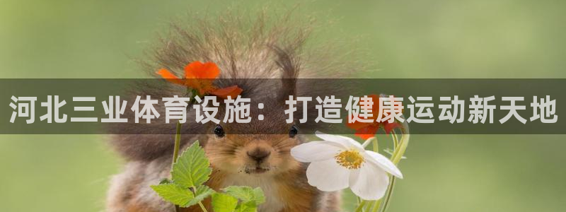 意昂平台体育：河北三业体育设施：打造健康运动新天地