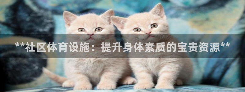 意昂3集团：**社区体育设施：提升身体素质的宝贵资源