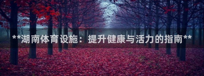 意昂3集团官网网址：**湖南体育设施：提升健康与活力的指南*