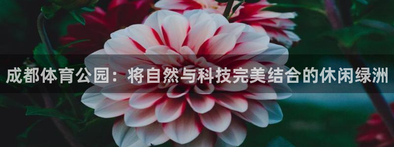 意昂体育3平台假的吗是真的吗