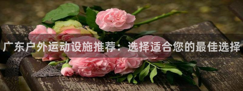 意昂体育3招商电话号码查询是多少：广东户外运动设施推