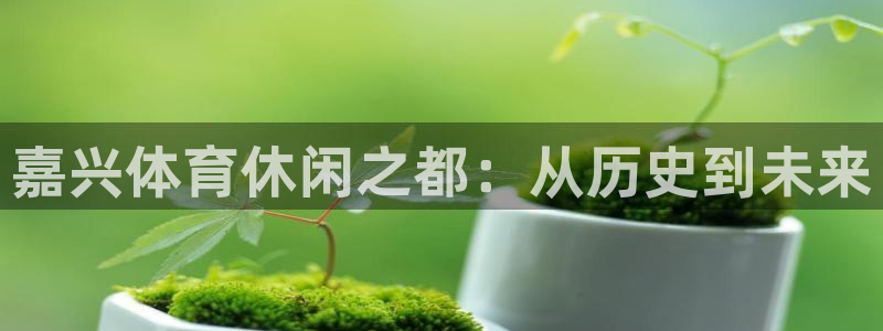 海南意昂体育3：嘉兴体育休闲之都：从历史到未来