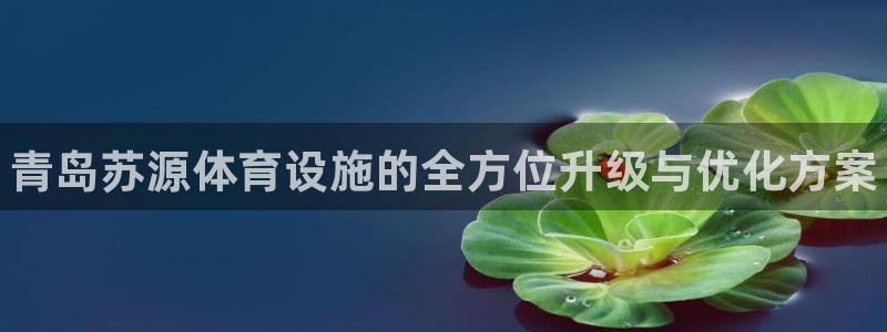 意昂3代理：青岛苏源体育设施的全方位升级与优化方案