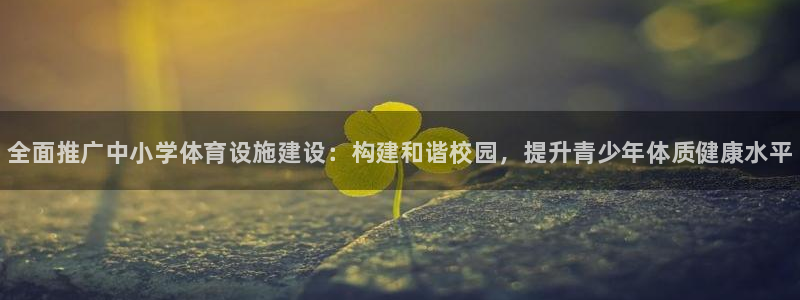 意昂3神州：全面推广中小学体育设施建设：构建和谐校园
