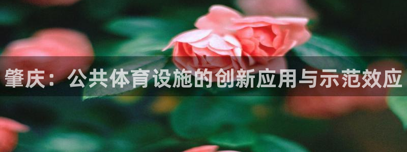 意昂体育3是干嘛的公司：肇庆：公共体育设施的创新应用