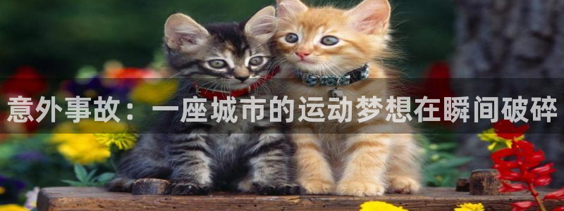 意昂体育3平台注册：意外事故：一座城市的运动梦想在瞬