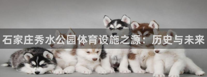 意昂体育3招商电话地址查询：石家庄秀水公园体育设施之源：历史