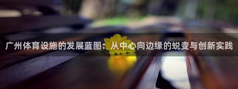 海南意昂体育3发展怎么样：广州体育设施的发展蓝图：从中心向边