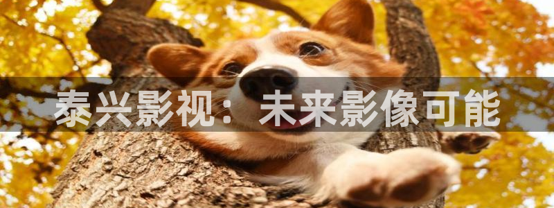 悠久影院观看免费电影