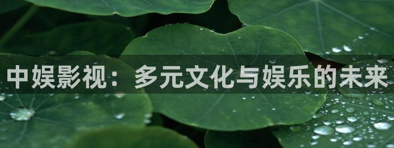 万界仙踪全集完整版免费播放悠久
