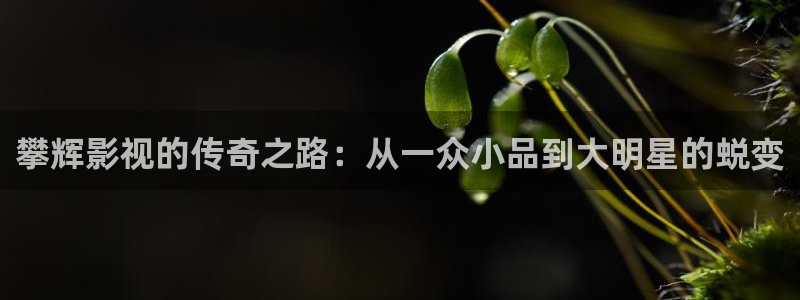 悠久影院全集免费观看