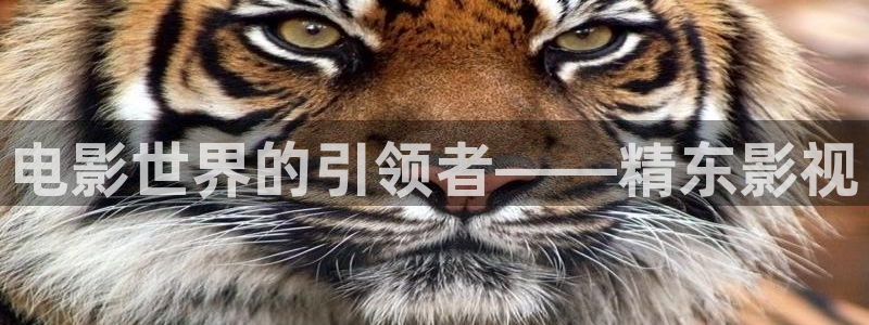 神秘电影悠久影院